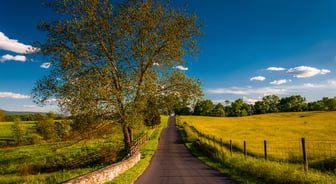 Large tree on a road through farmfields and rolling hills in Antietam National Battlefield, Maryland.